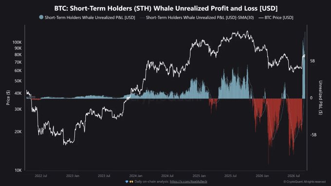 Bitcoin Short-Term Whale Unrealized Profit Hits Record $9.07B